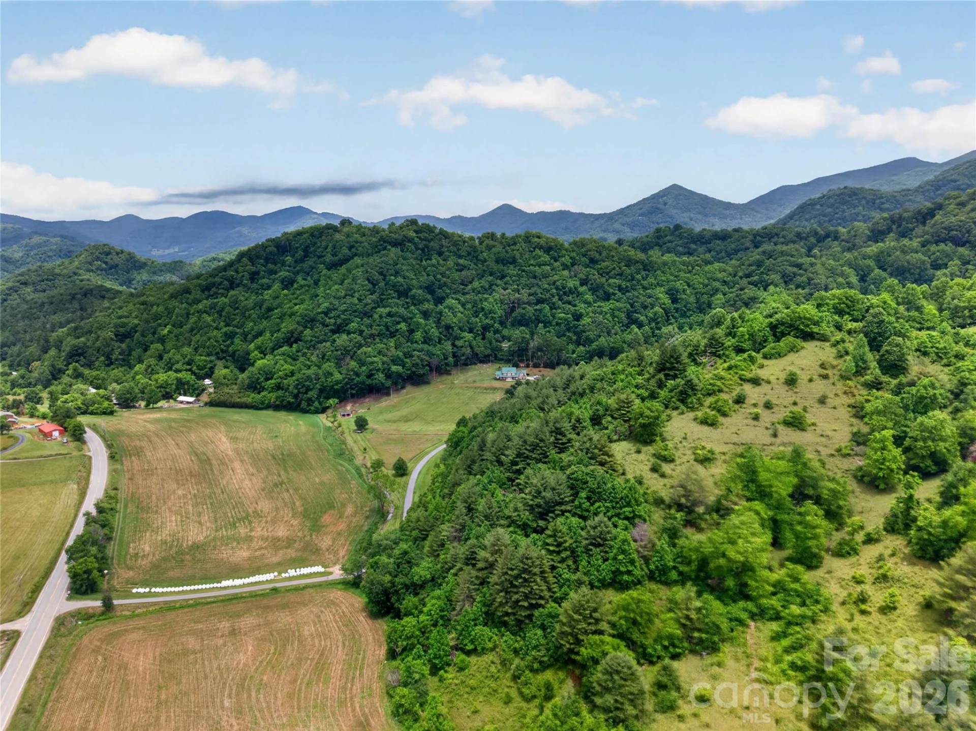 227 Black Bear Cove - Photo 46