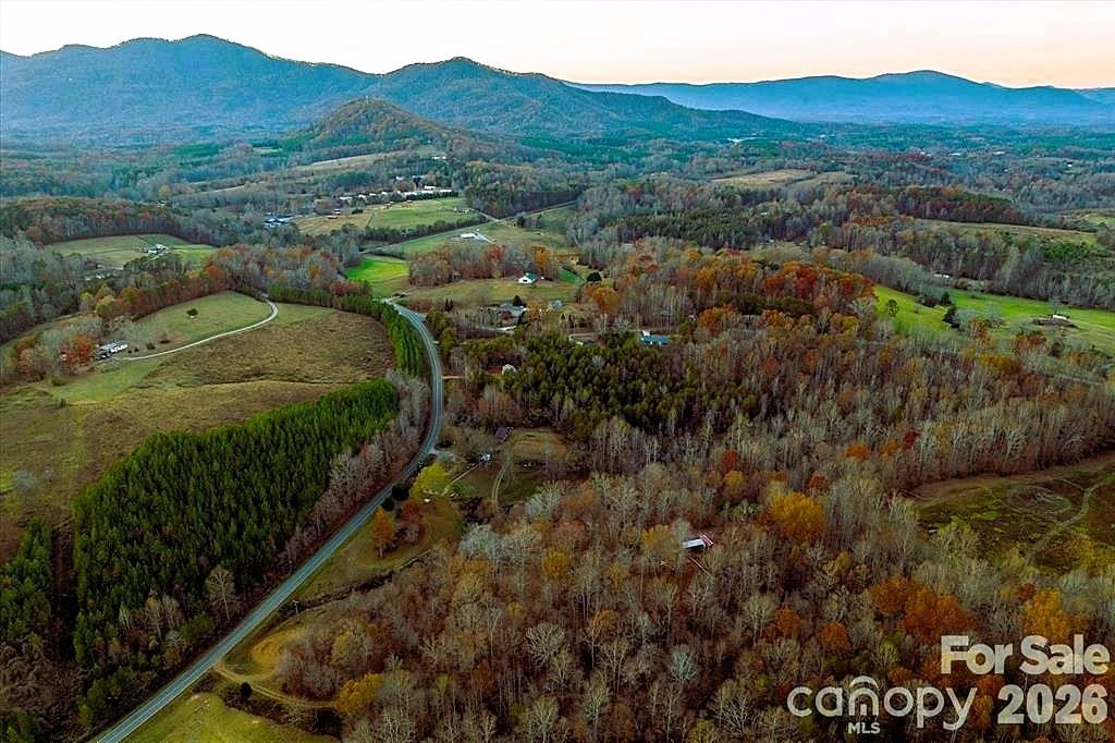 0 Bill Collins Road - Photo 3