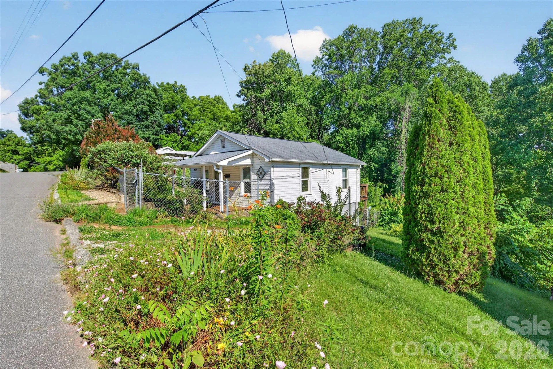 119 Seagle Street - Photo 4