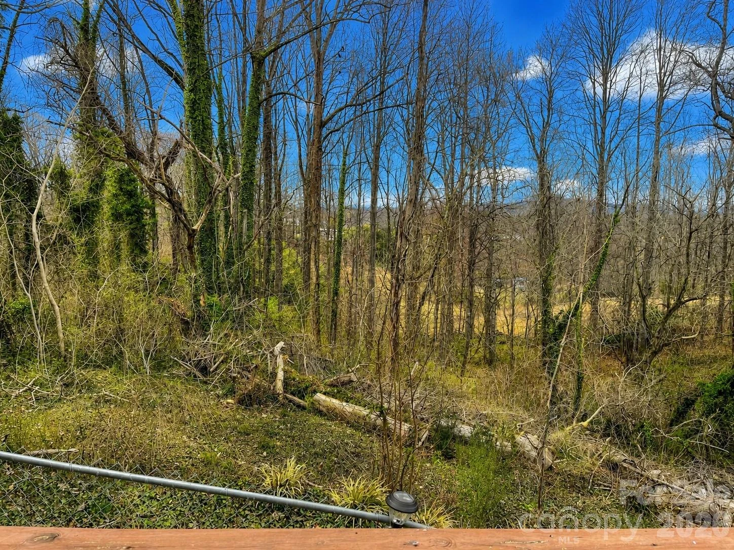 119 Seagle Street - Photo 34
