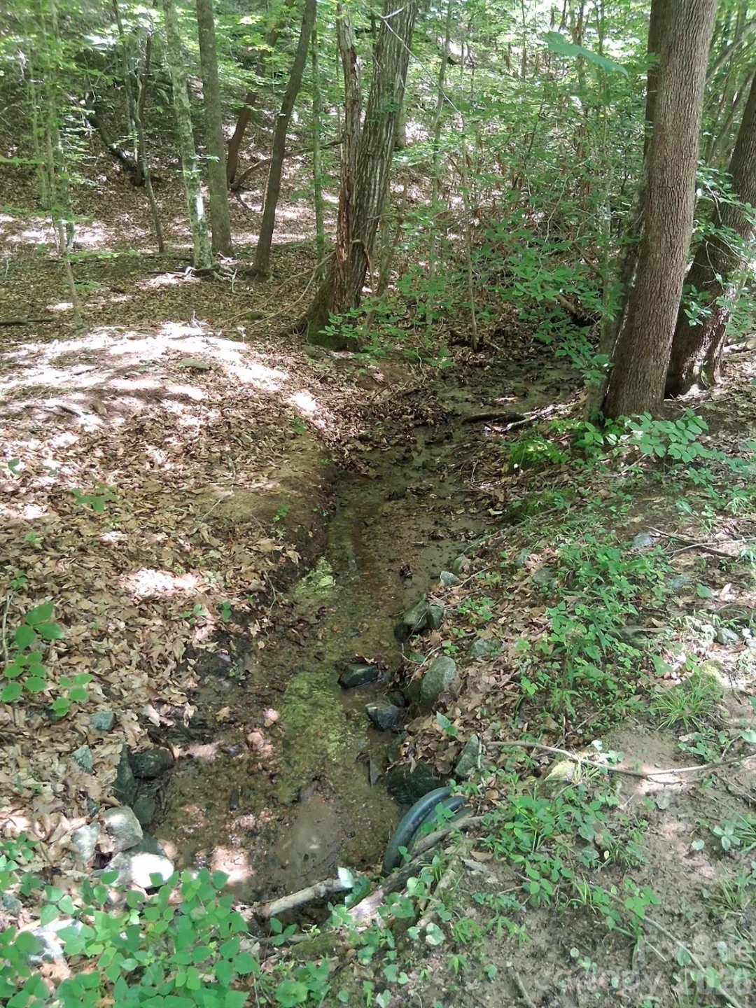 316 318 Cane Creek Mountain Road - Photo 12