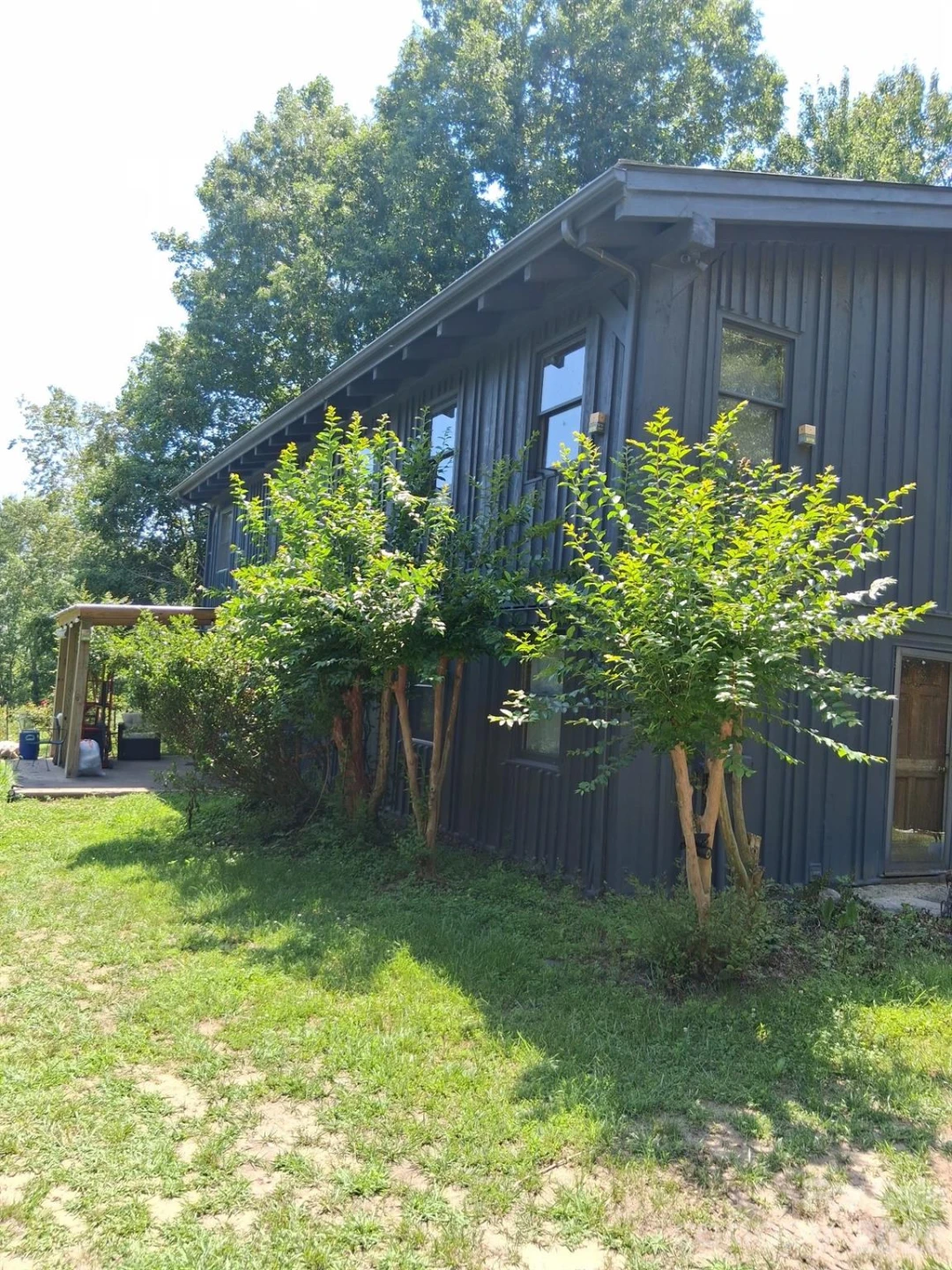 316 318 Cane Creek Mountain Road - Photo 3