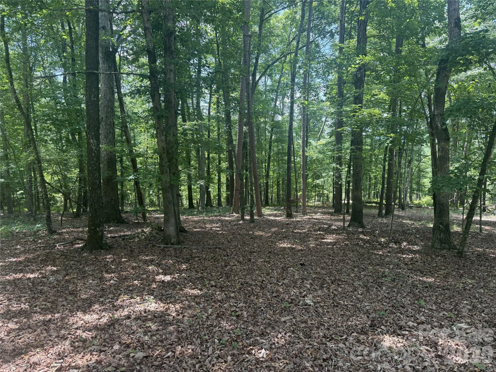 316 318 Cane Creek Mountain Road - Photo 7