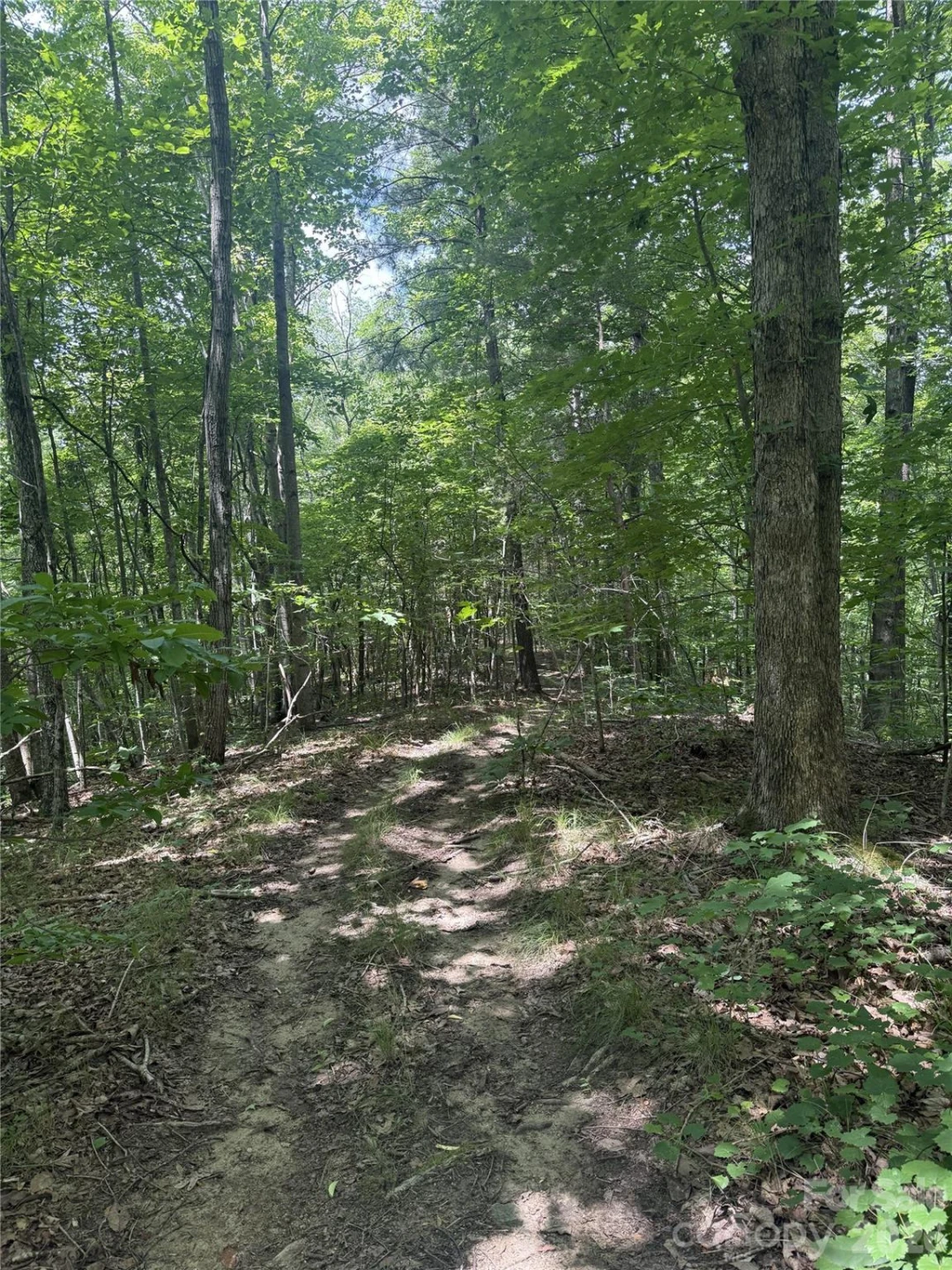 316 318 Cane Creek Mountain Road - Photo 9