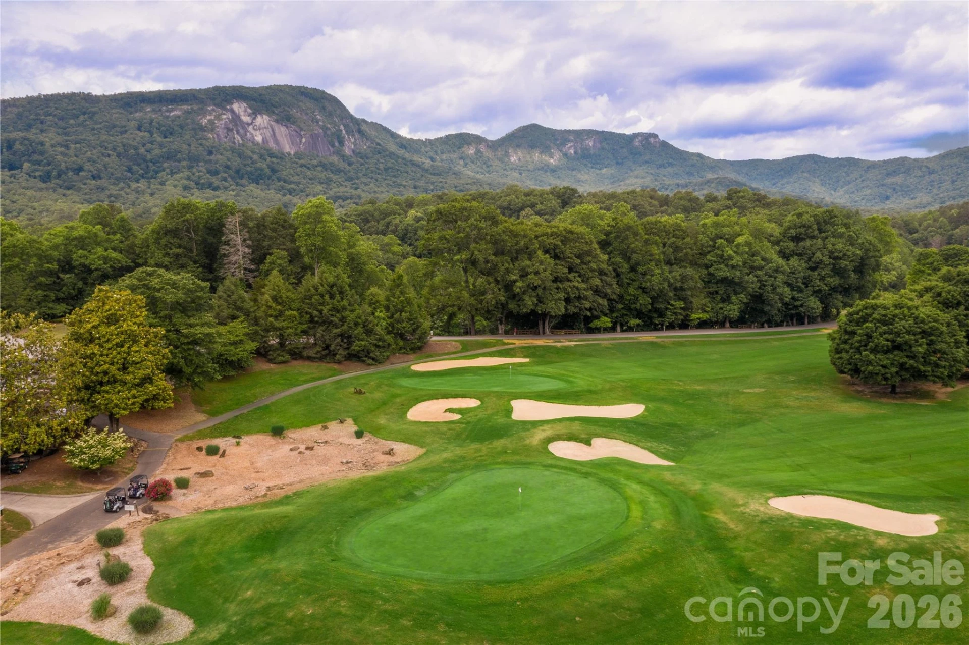 136 Rumbling Bald Road - Photo 44