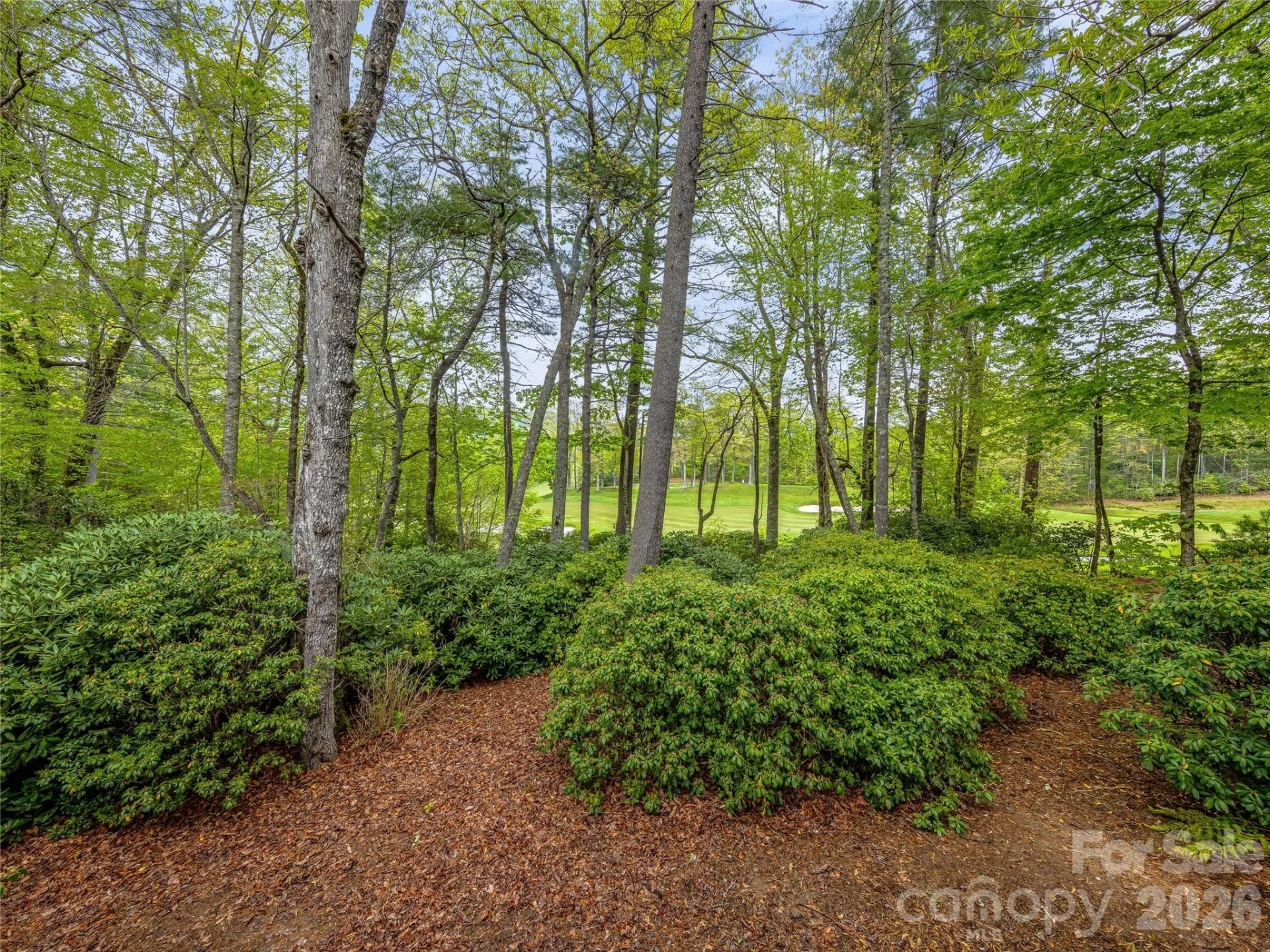 250 Fairway Drive - Photo 31