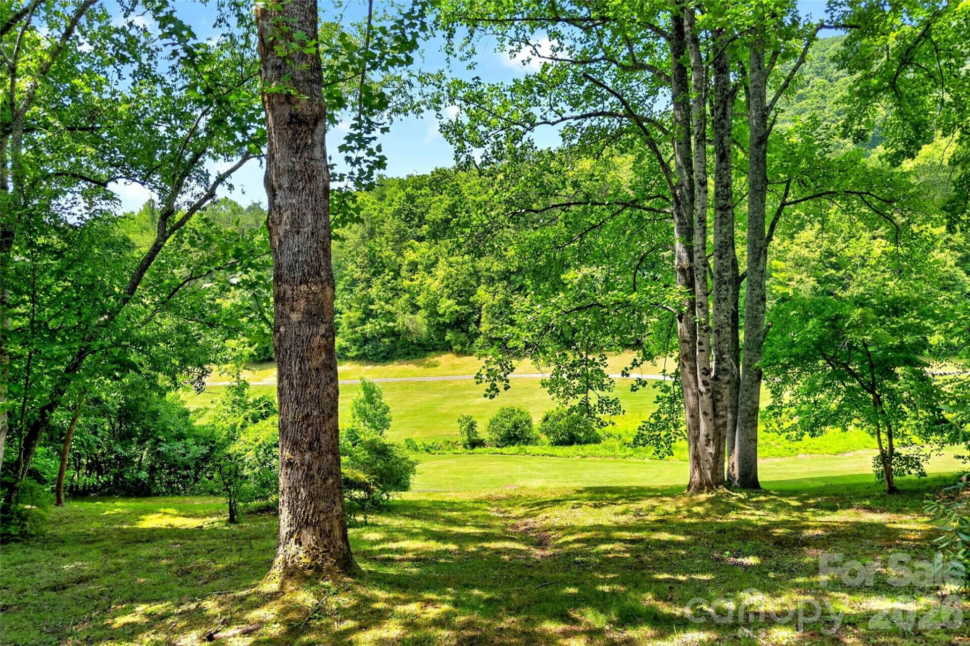 103 Richard Lane - Photo 41