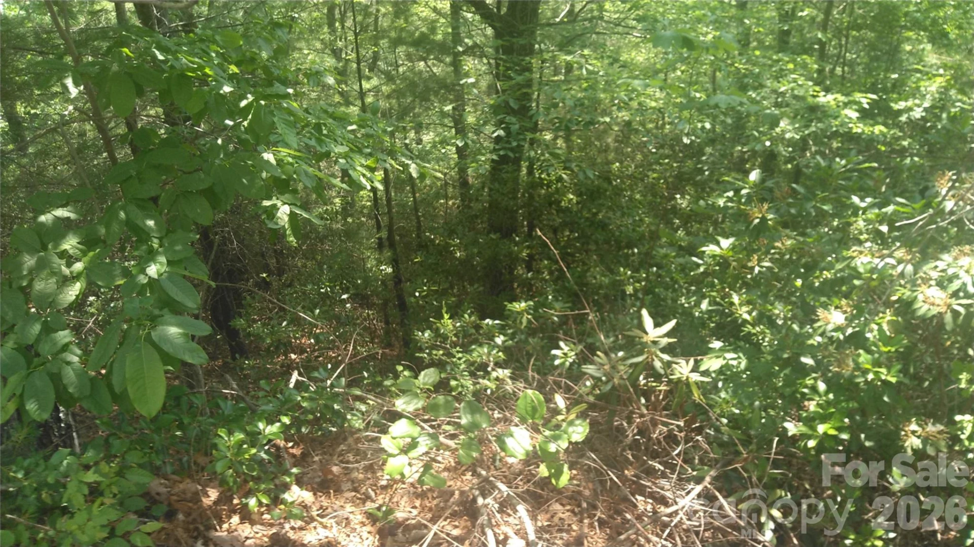 Lot 2F Seminole Path - Photo 3