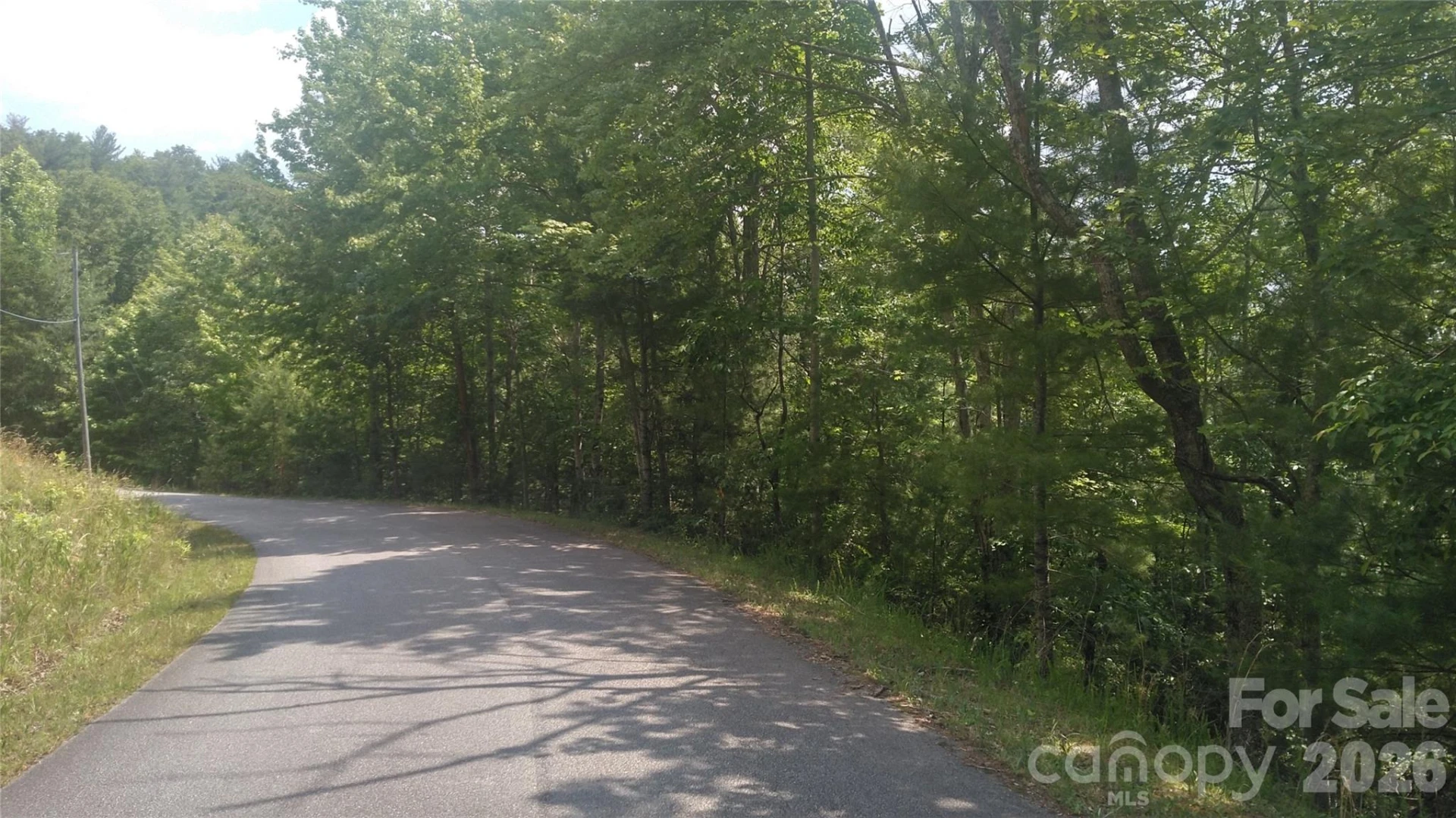 Lot 17 Deer Ridge Trail - Photo 3