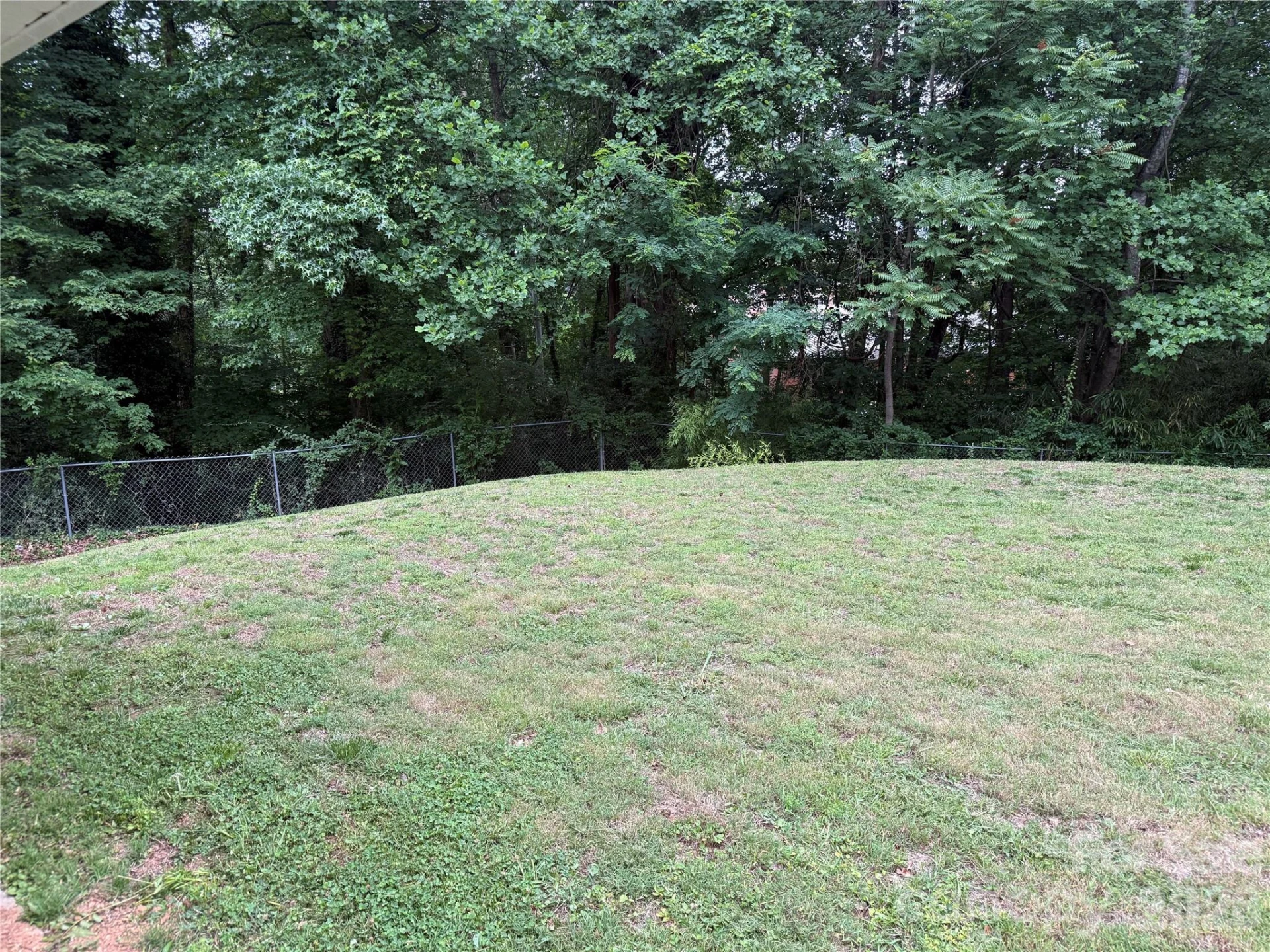 150 Cowan Lane - Photo 36