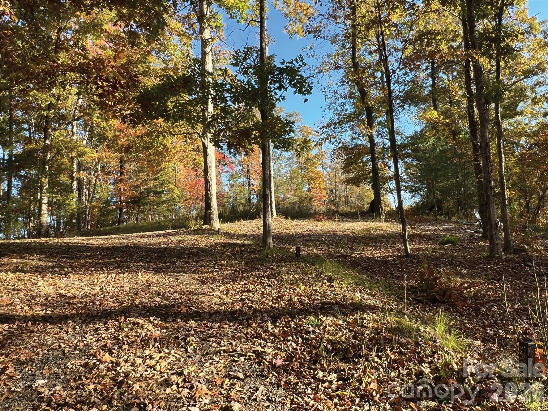 00000 Shady Bark Lane #43 & #44 - Photo 2