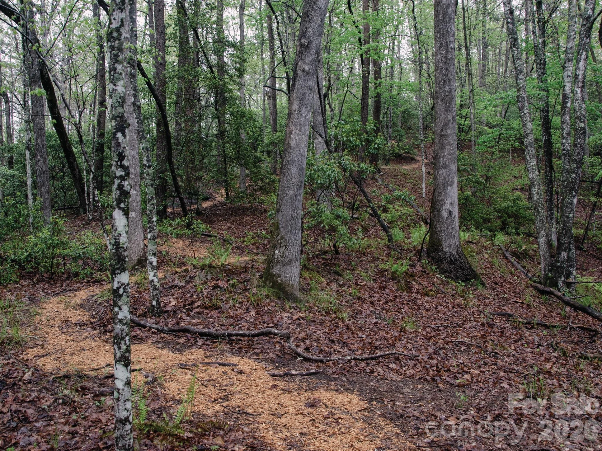00000 Shady Bark Lane #43 & #44 - Photo 31
