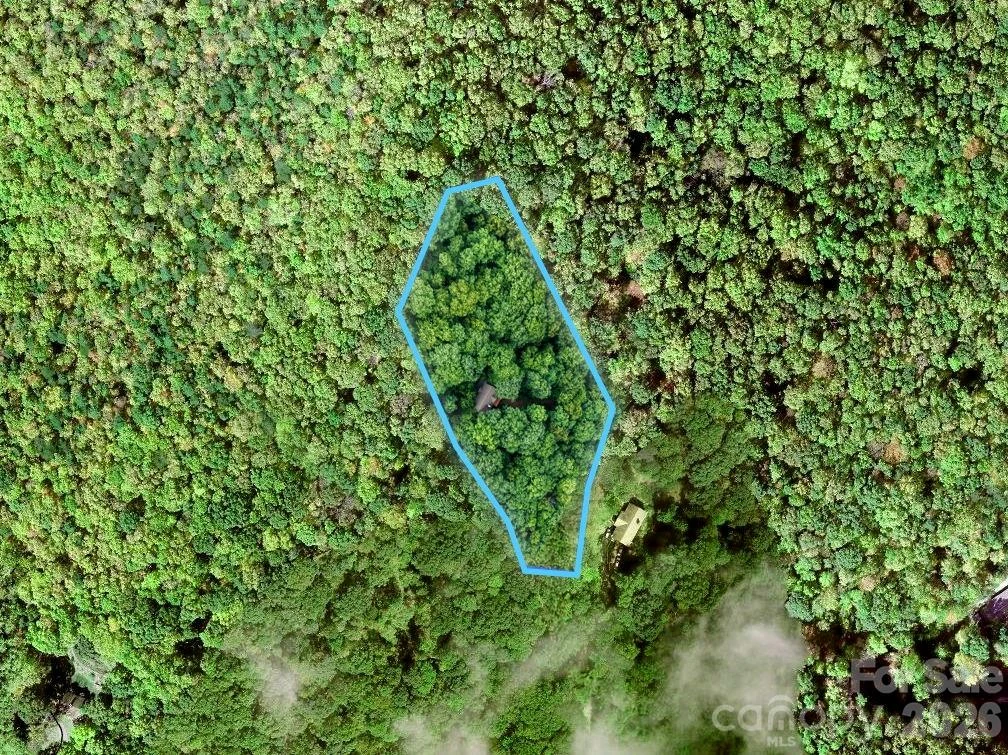 72 Wildflower Mountain Trail - Photo 39
