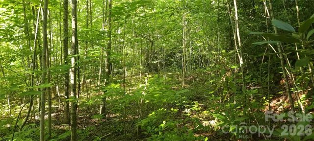 Lot# 19 Mill Creek Road, Old Fort, NC, 28762