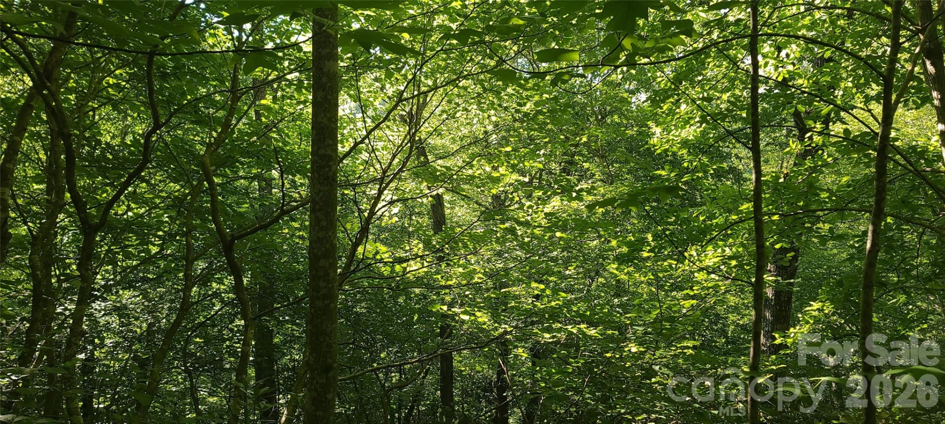 Lot# 19 Mill Creek Road - Photo 12