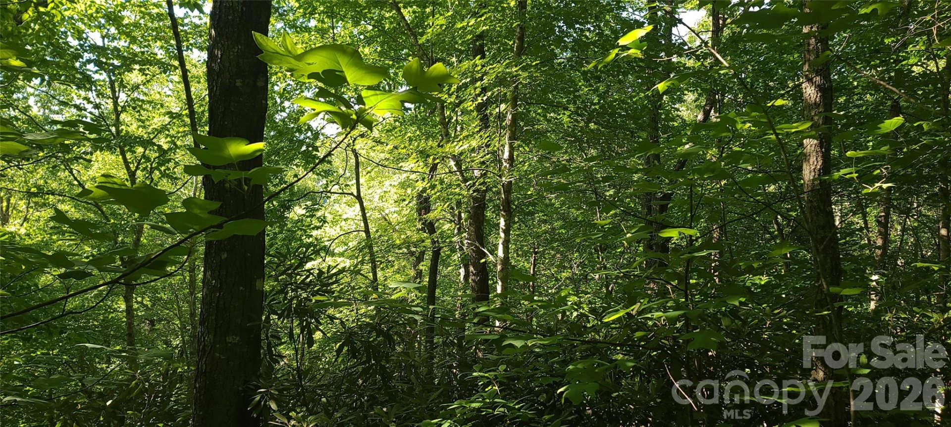 Lot# 19 Mill Creek Road - Photo 5