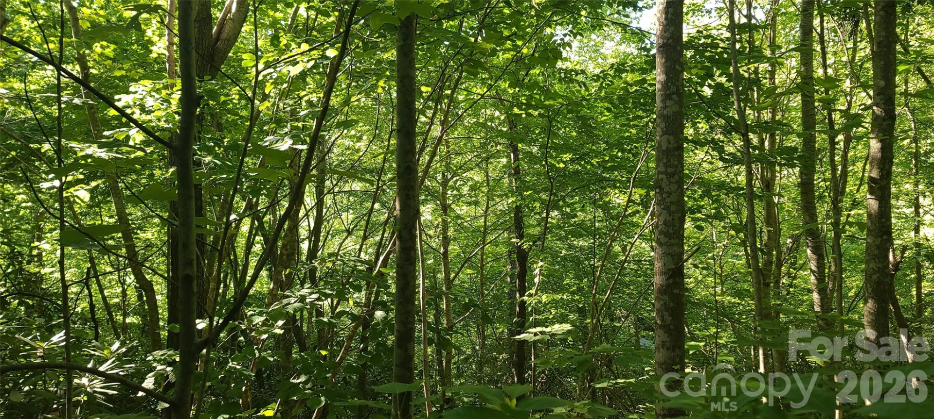 Lot# 19 Mill Creek Road - Photo 7