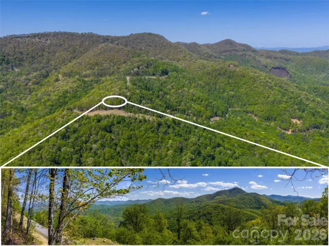 0000 Lovebird Lane, Candler, NC, 28716