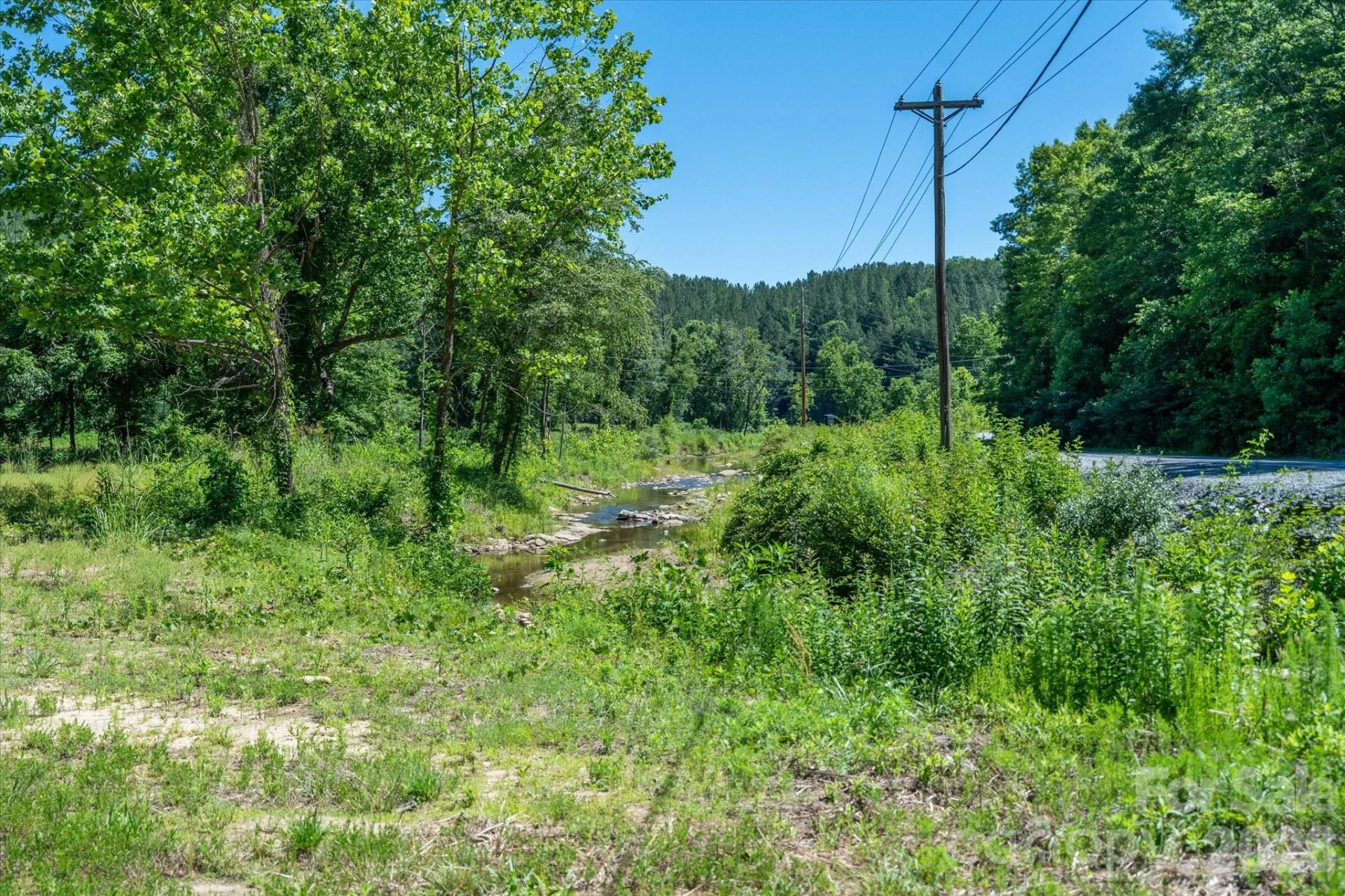 1194 Palmer Road - Photo 6