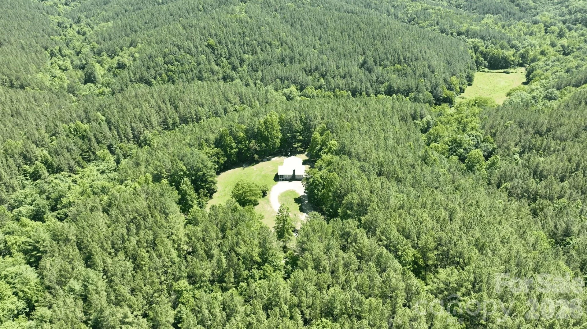 1194 Palmer Road - Photo 15