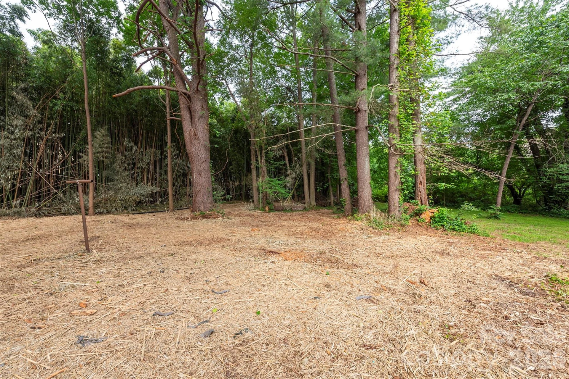 215 Merchant Street - Photo 27