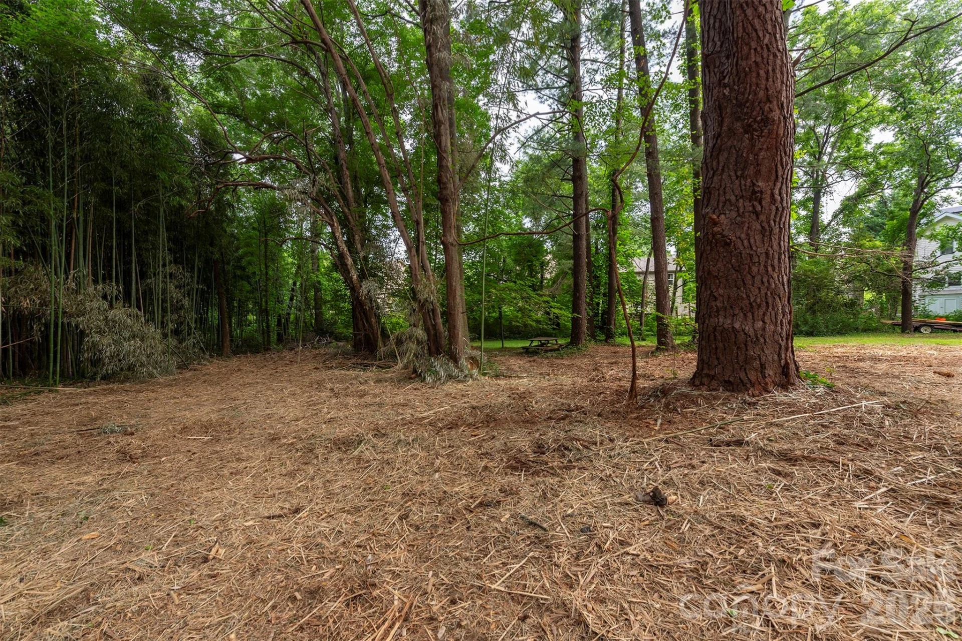 215 Merchant Street - Photo 28