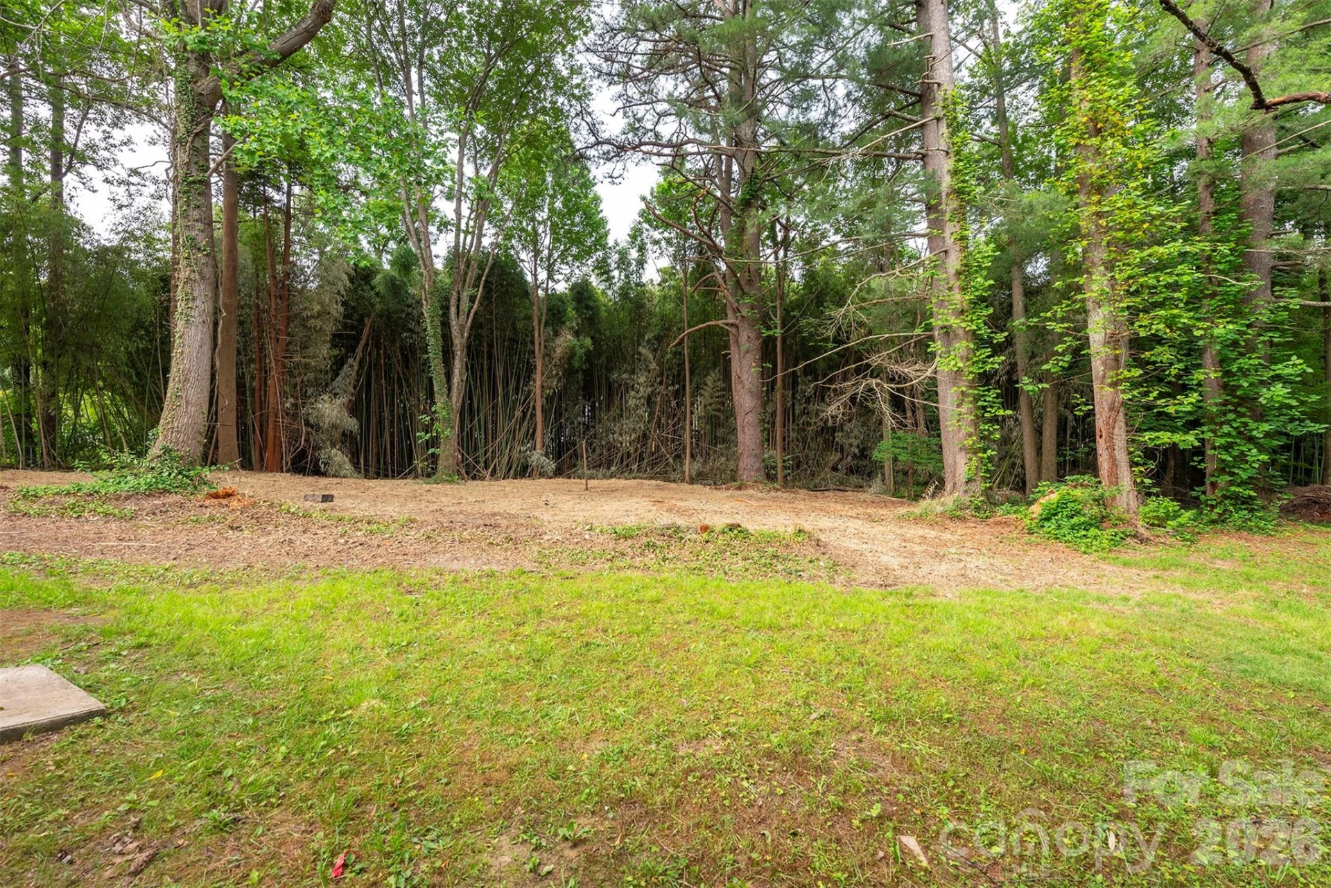 215 Merchant Street - Photo 4