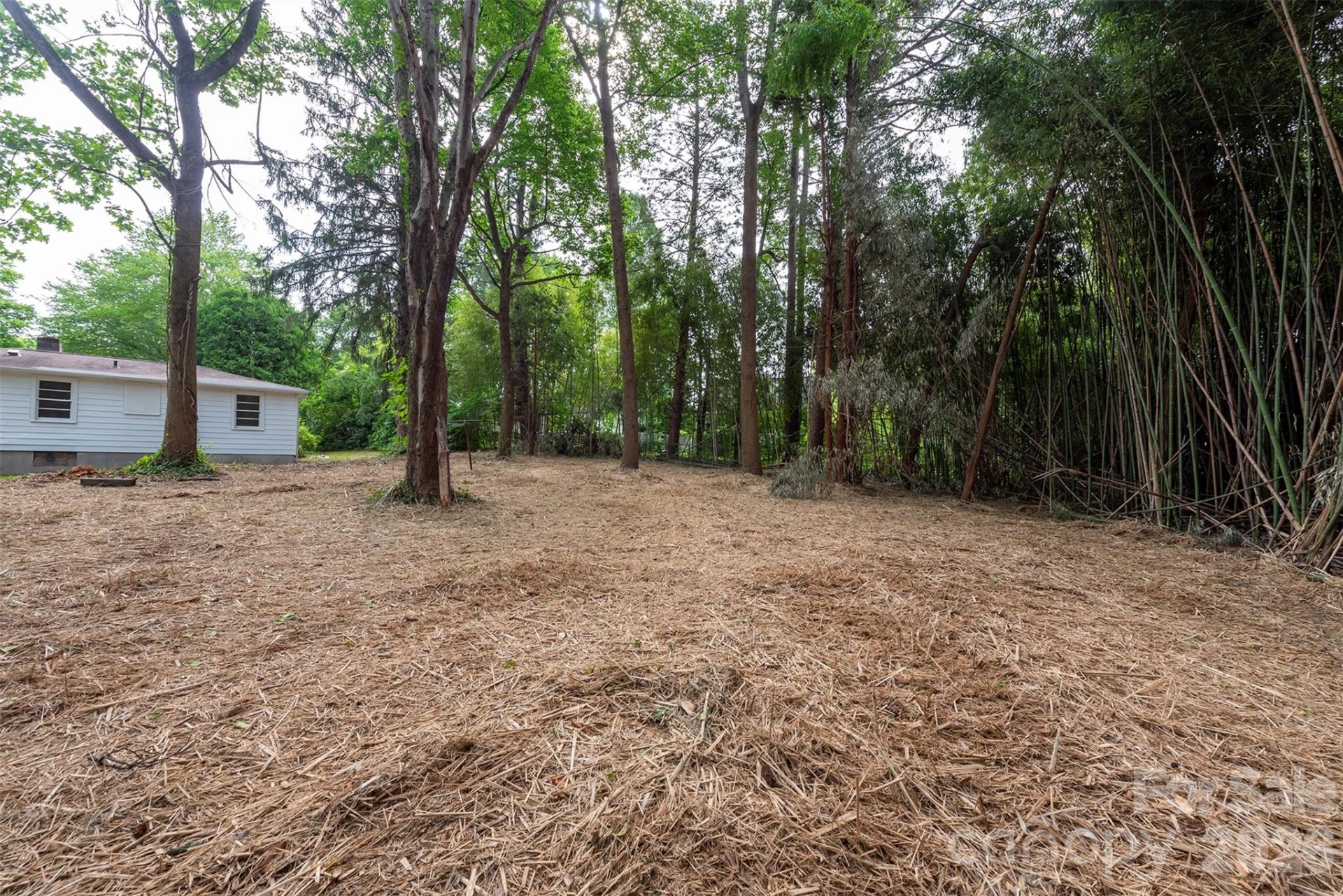 215 Merchant Street - Photo 34