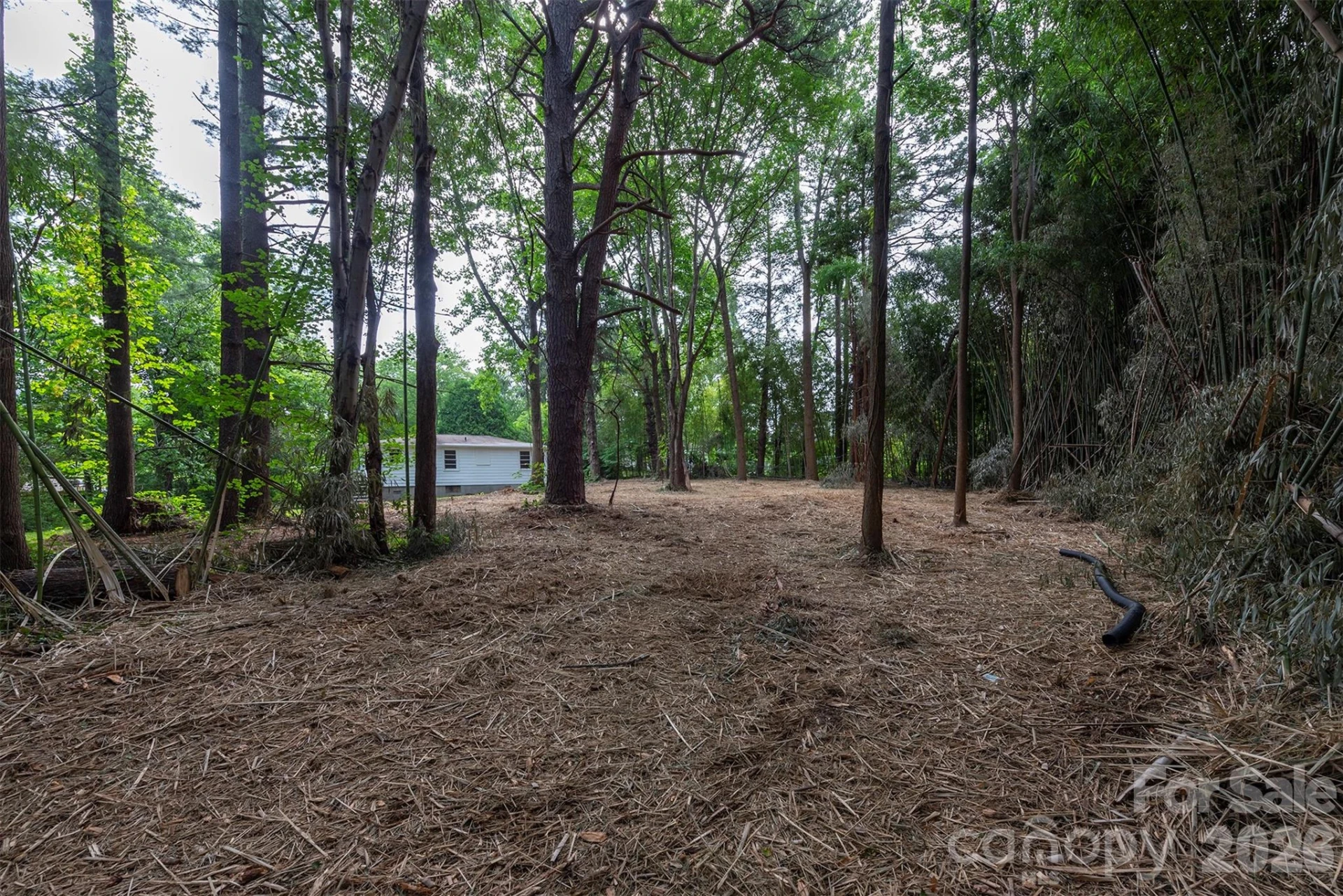 215 Merchant Street - Photo 35