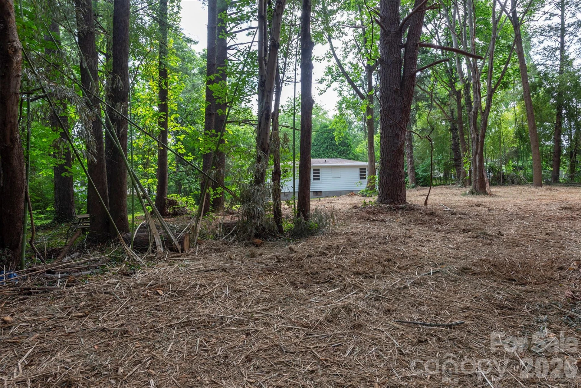 215 Merchant Street - Photo 6