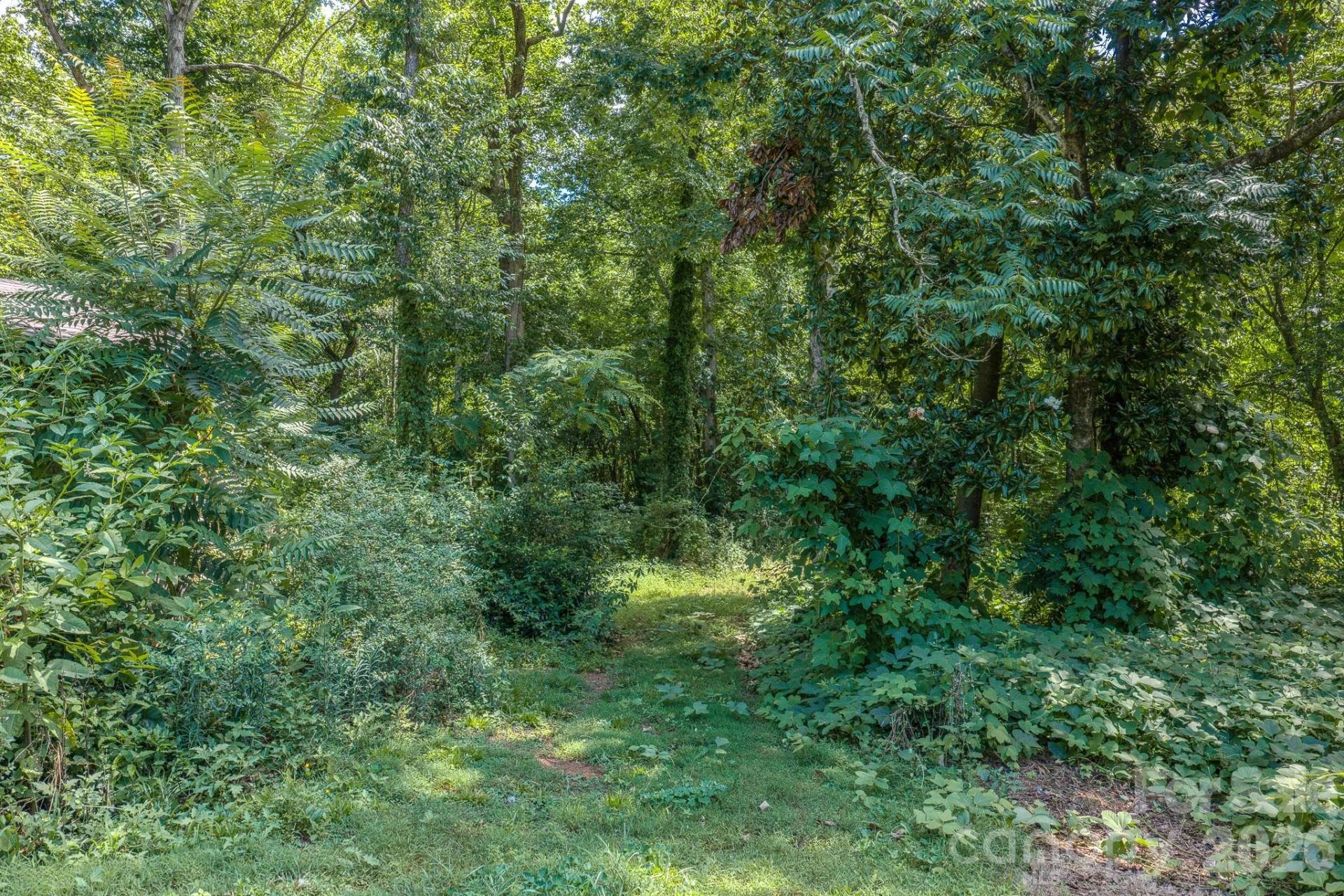886 Pearidge Road - Photo 46