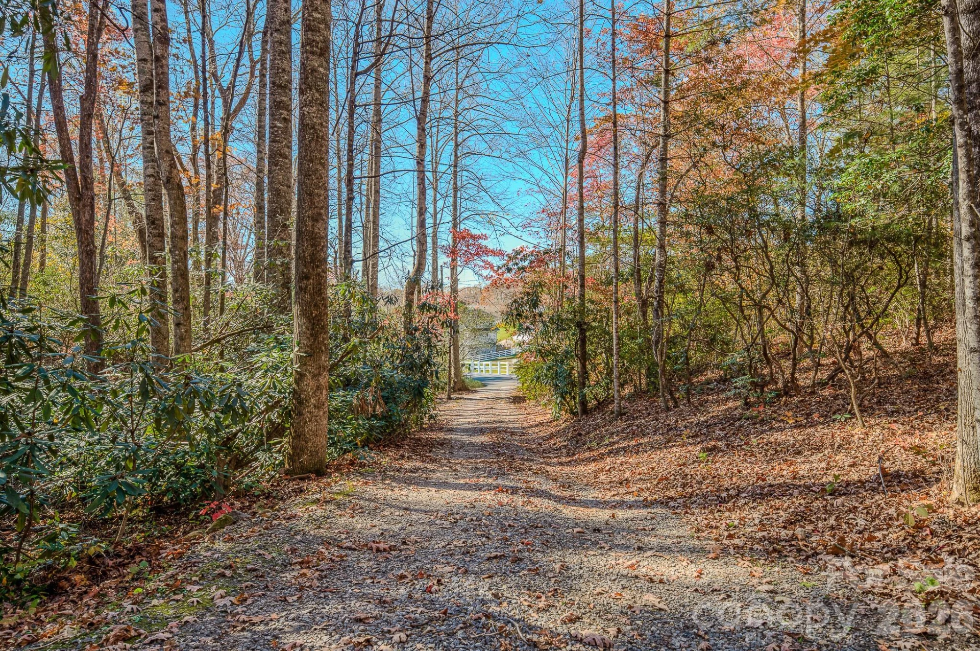 410 Avena Road - Photo 3