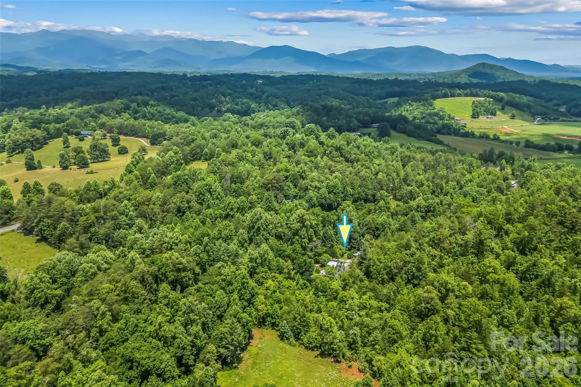 72 Paradise Lane - Photo 3