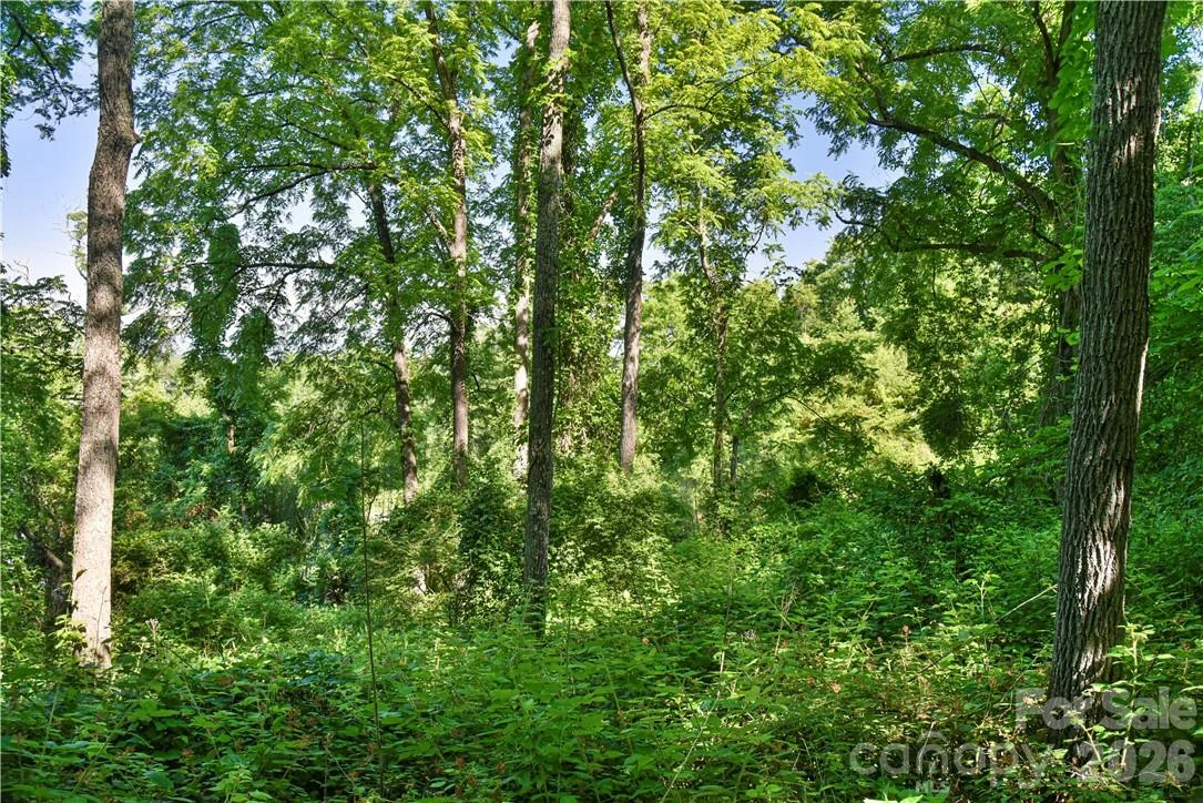 415 Weaverville Road - Photo 14