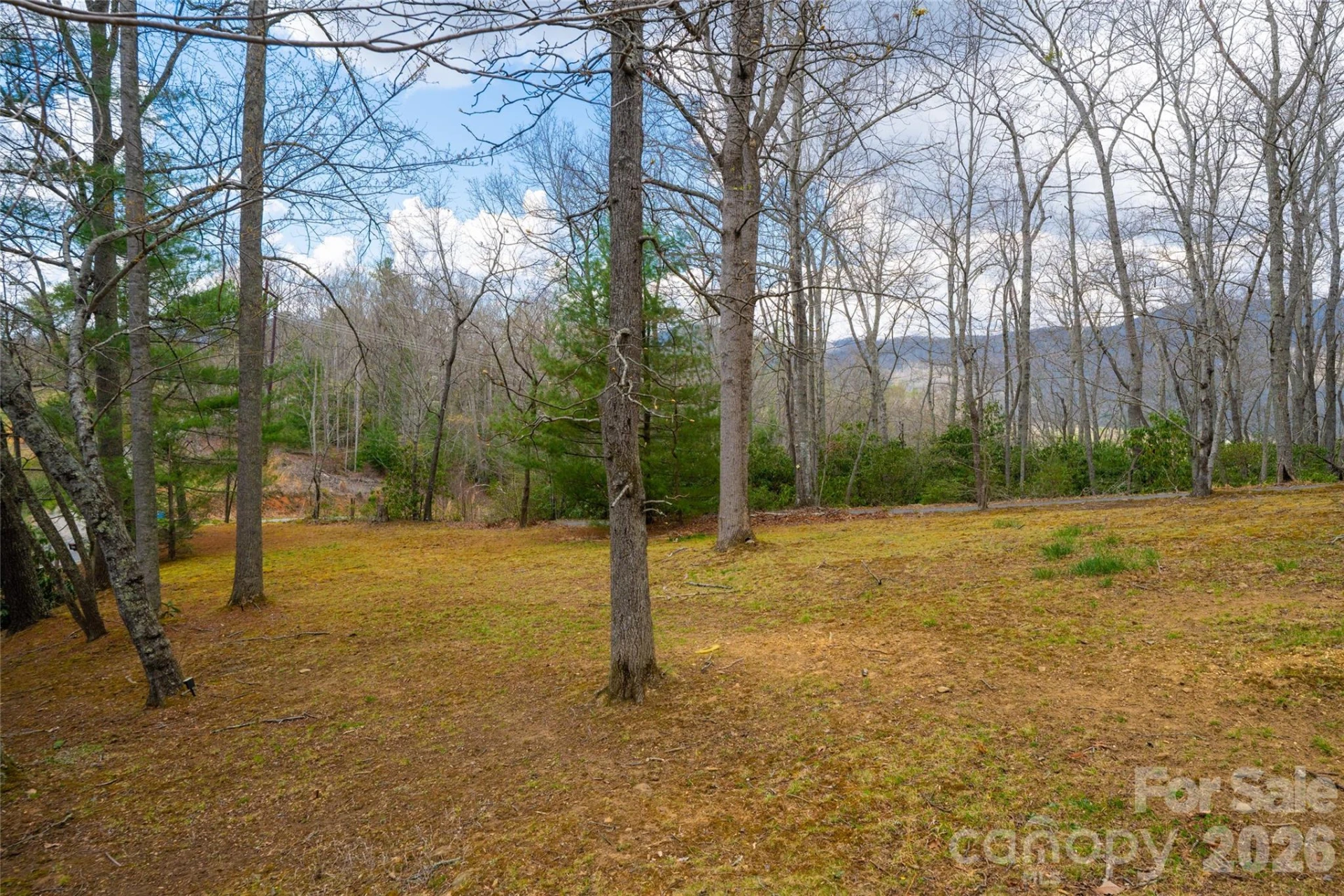 233 Church Road - Photo 30