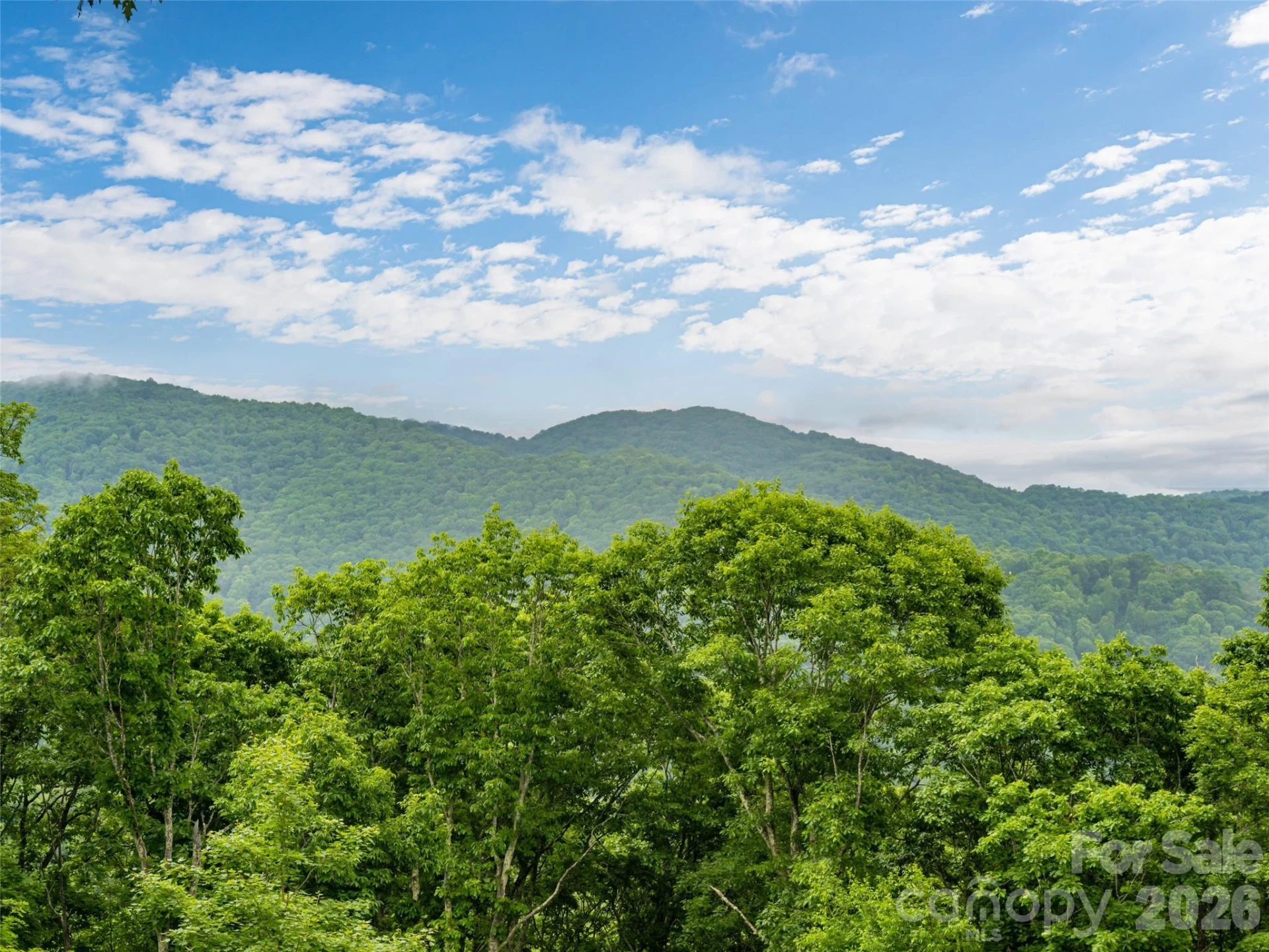 243 Pioneer Ridge Road - Photo 35