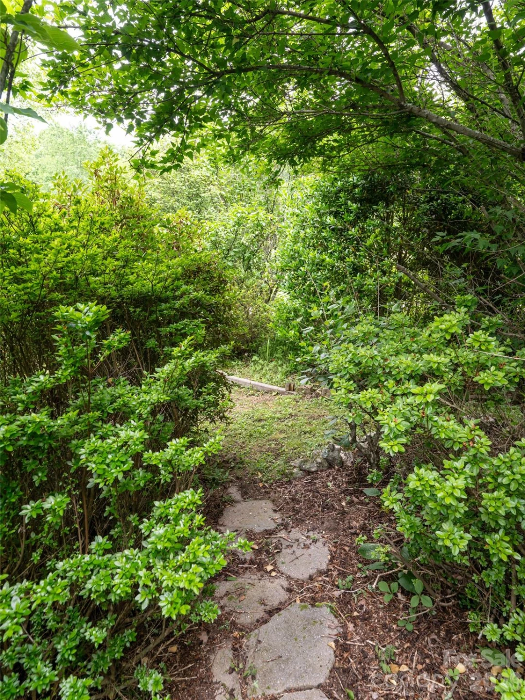 243 Pioneer Ridge Road - Photo 39