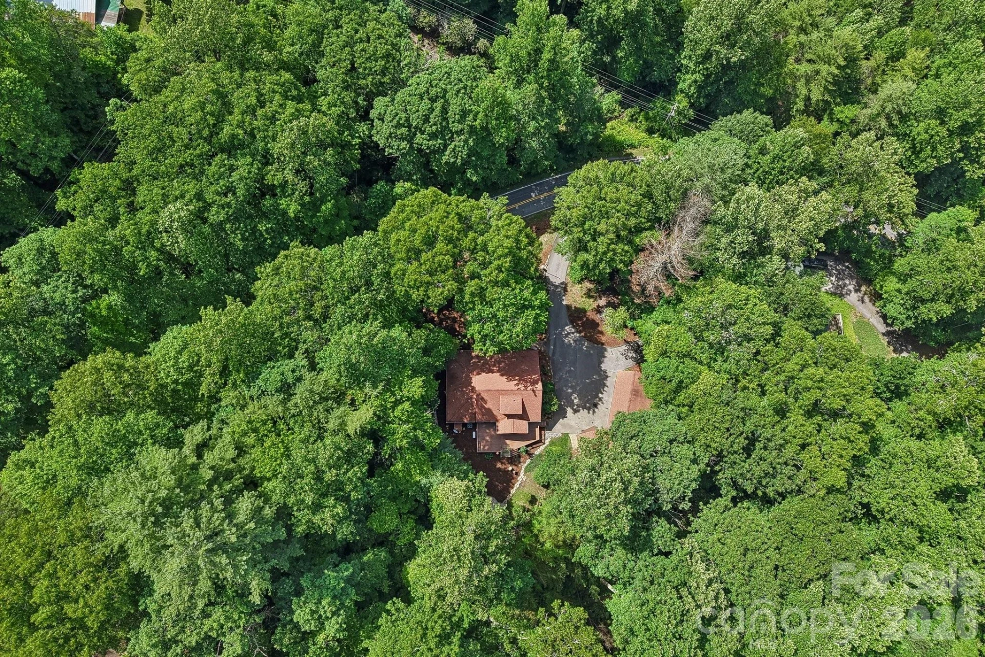 1952 Davis Mountain Road - Photo 42