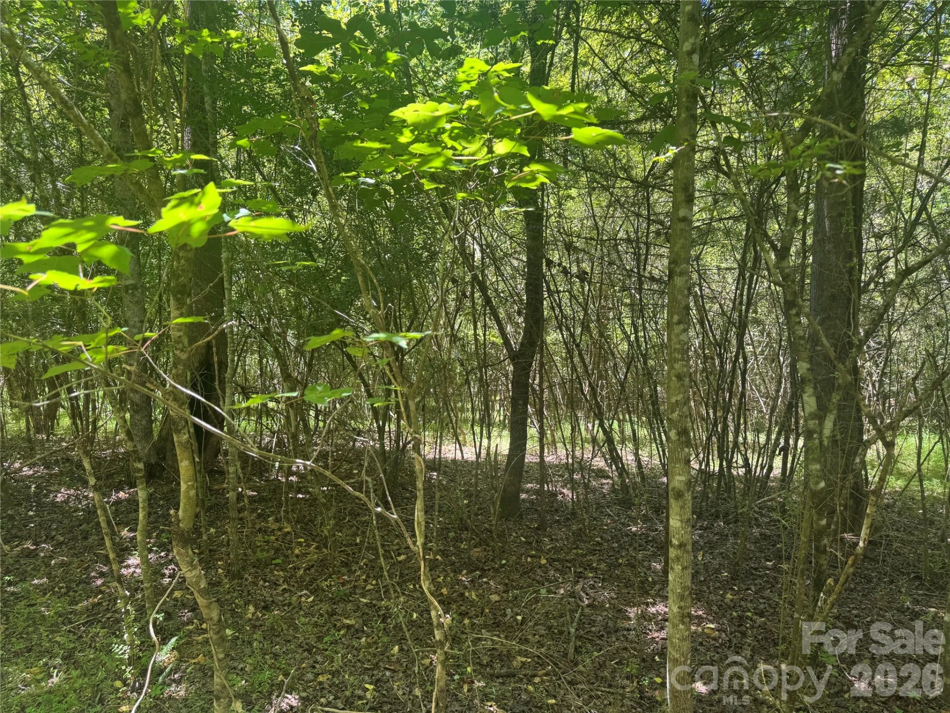 00 Desota Ridge - Photo 6