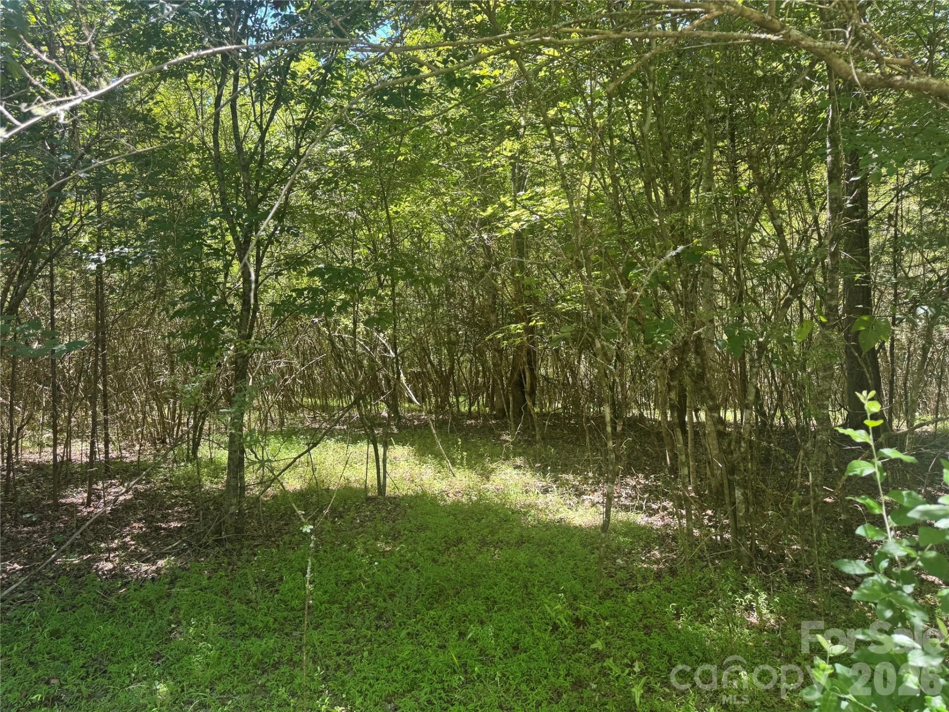 00 Desota Ridge - Photo 7