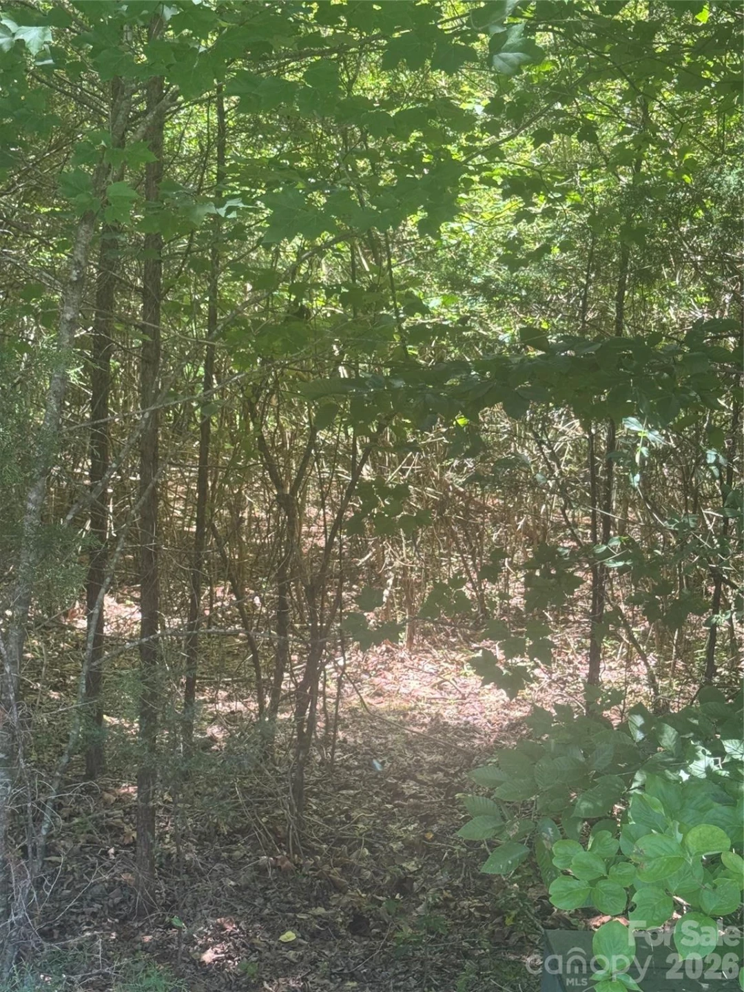 00 Desota Ridge - Photo 9