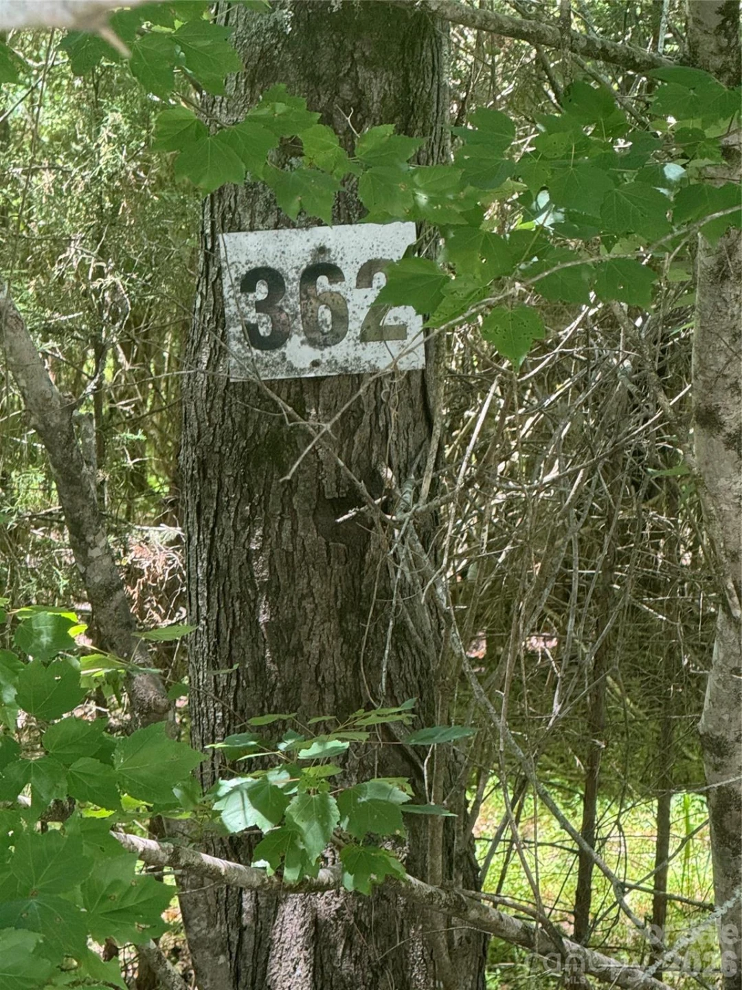 00 Desota Ridge - Photo 10