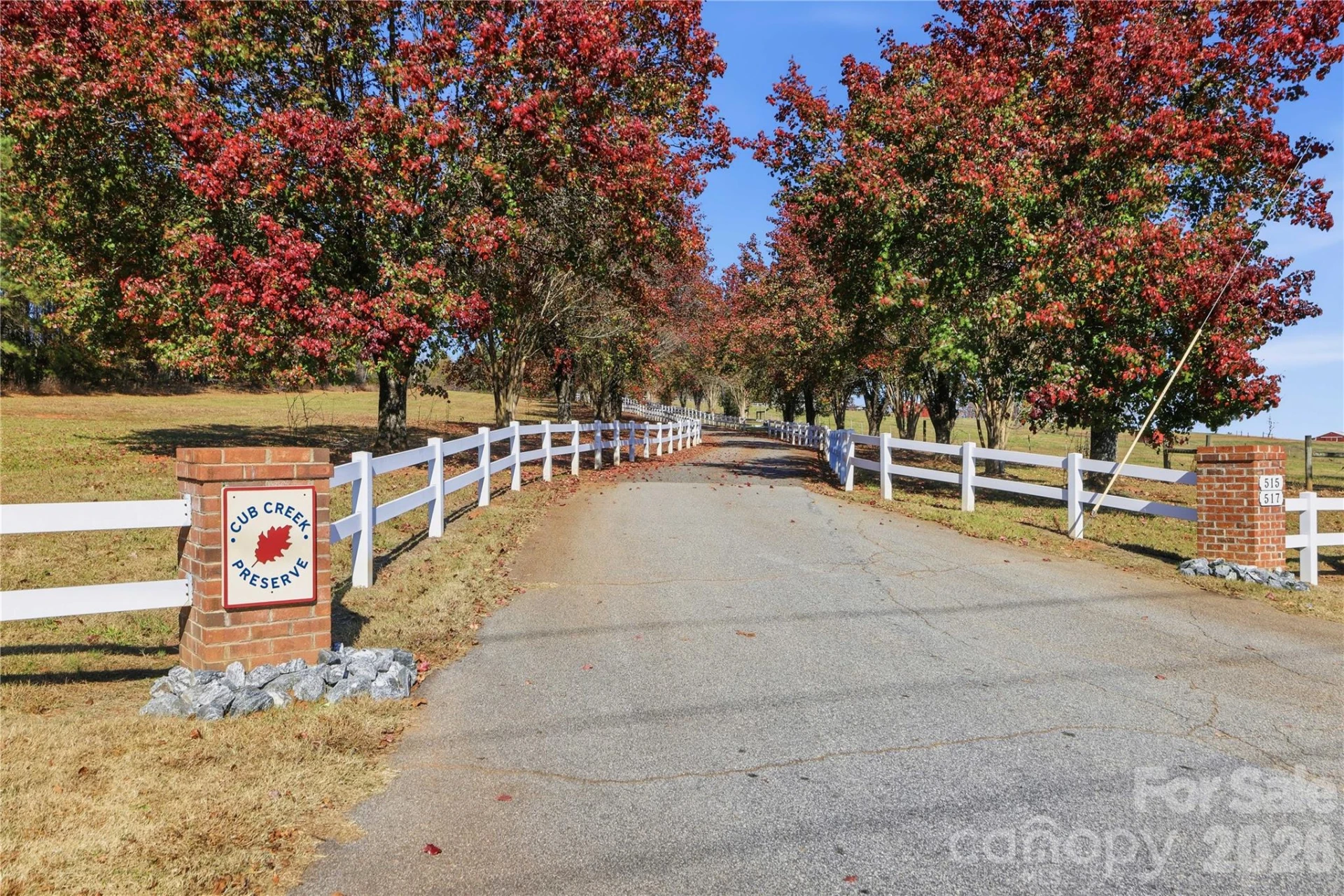 517 Cub Creek Road - Photo 2
