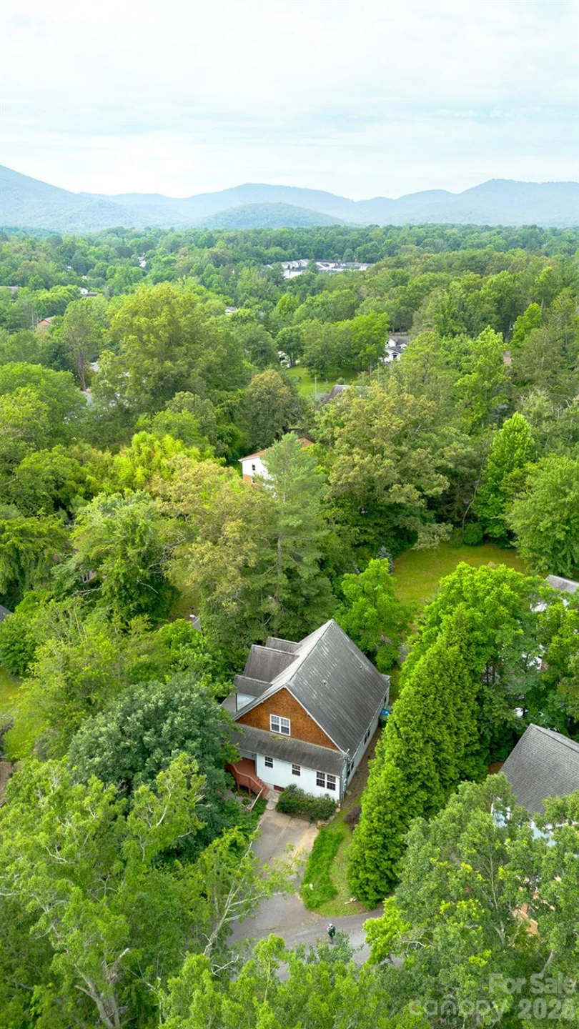 340 Old Haw Creek Road - Photo 3