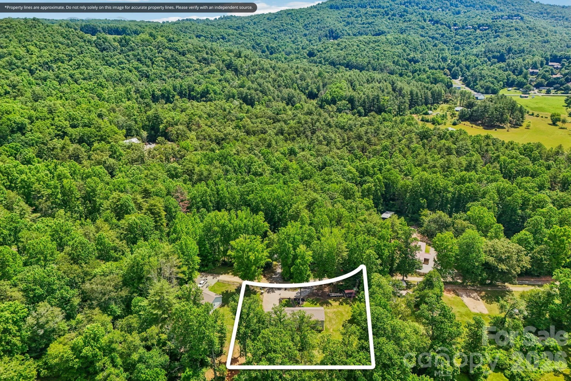 51 Hermit Springs Trail - Photo 44