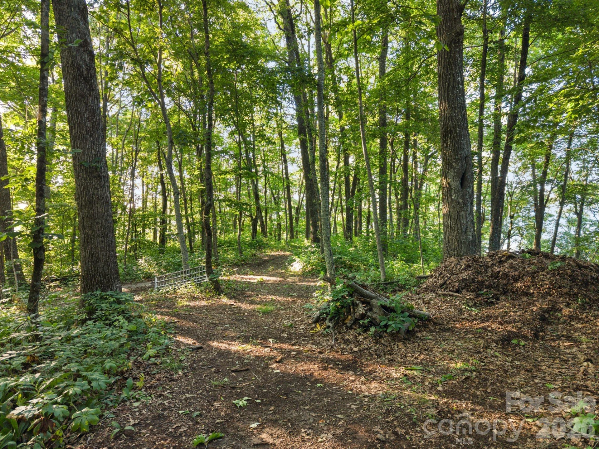 108 Flame Azalea Drive - Photo 41