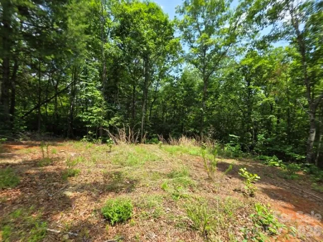 169 Fairfield Lane, Marion, NC, 28752