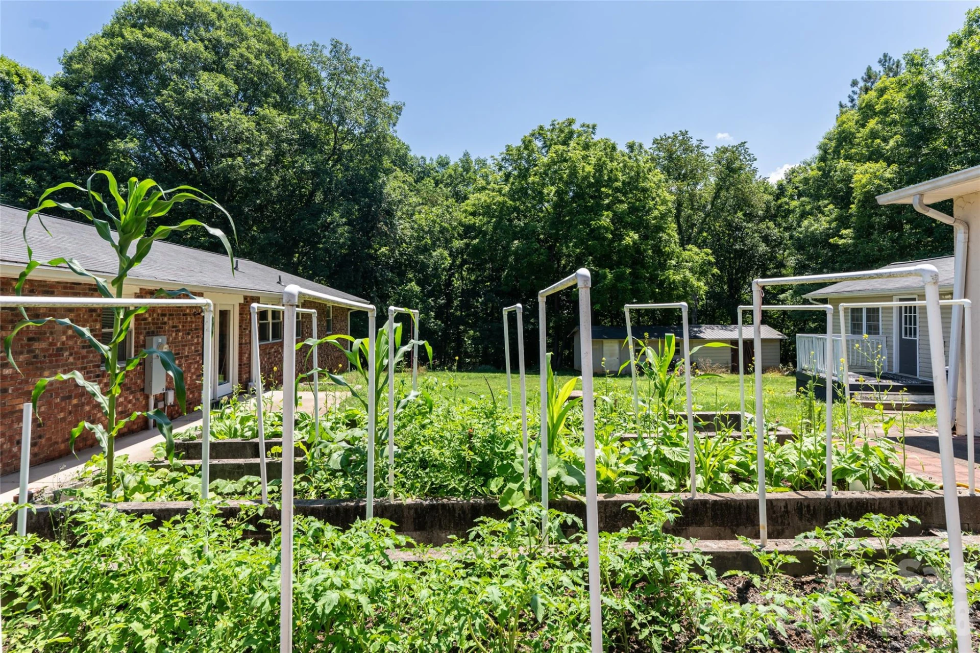 2800 Coxe Road - Photo 18