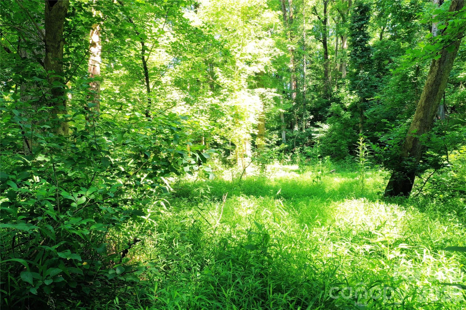  - Photo 14