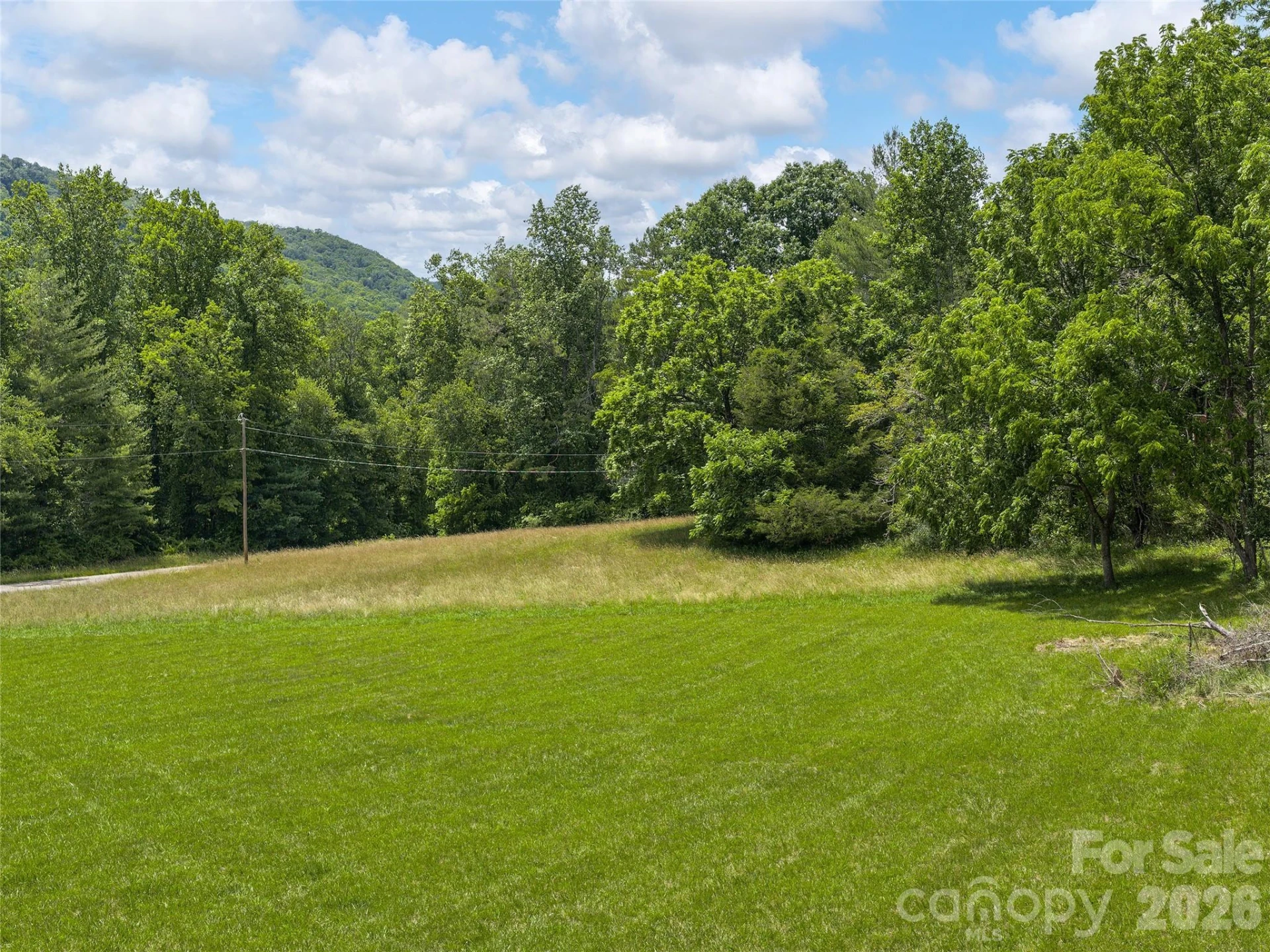0 Foster Creek Road - Photo 8